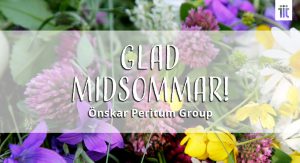 midsommar_2019_